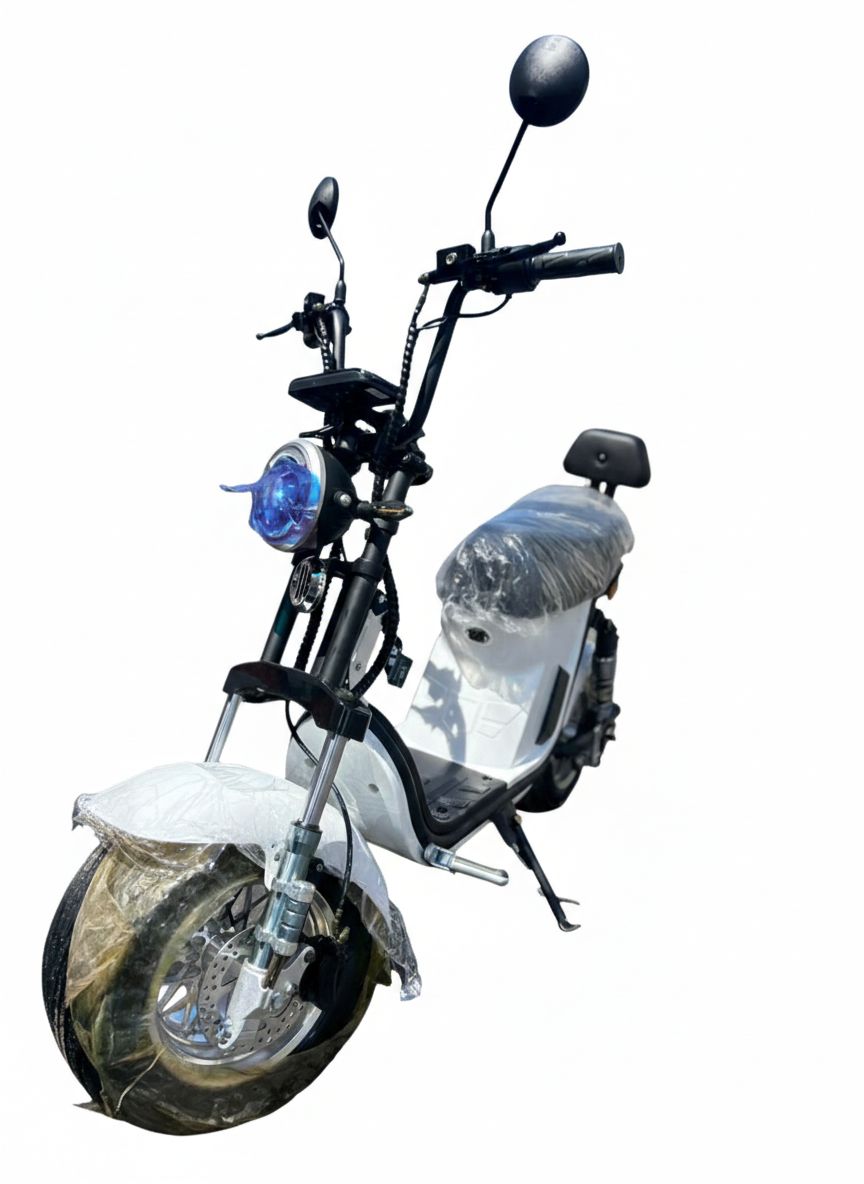 WhatsApp Image 2026-01-26 at 14.19.23.jpeg