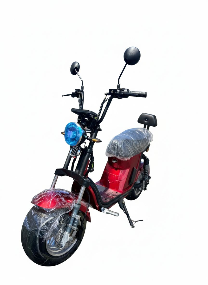 WhatsApp Image 2026-01-26 at 14.19.23 (1).jpeg